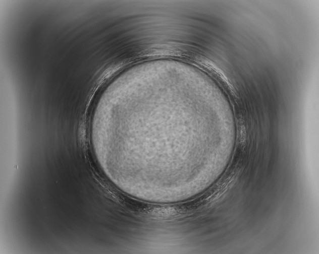X0000096430882200802141430