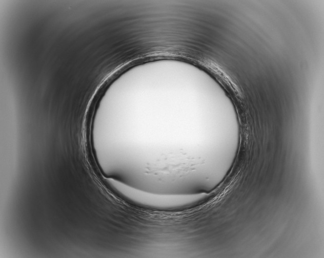 X0000096430884200802141429