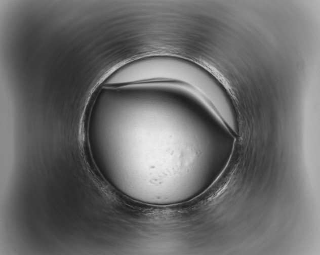 X0000096430885200802141429