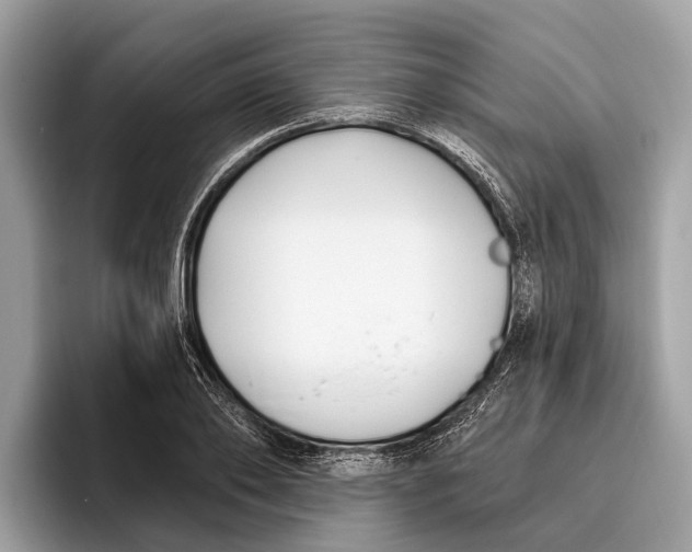 X0000096430886200802141429