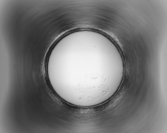 X0000096430887200802141429