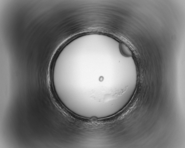 X0000096430888200802141429
