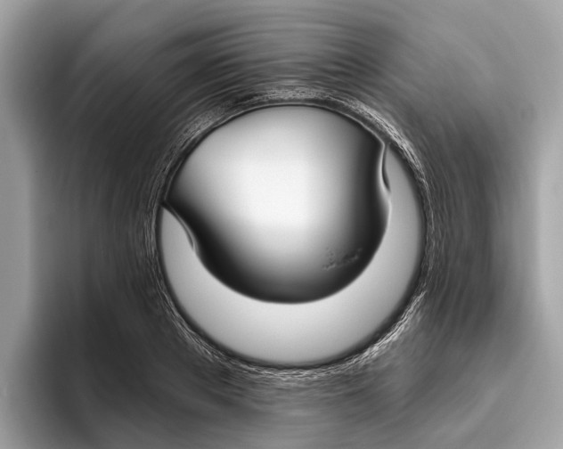 X0000096430889200802141429