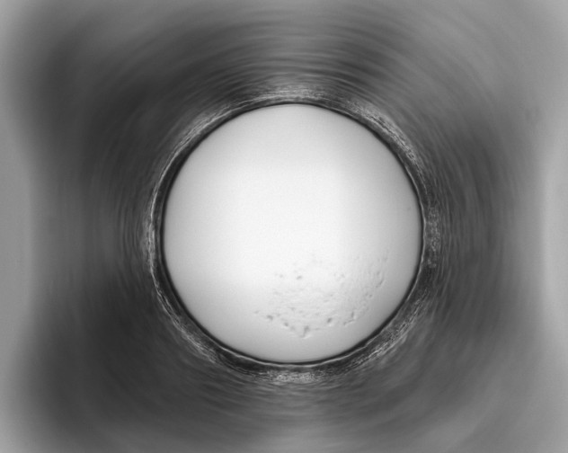 X0000096430890200802141429