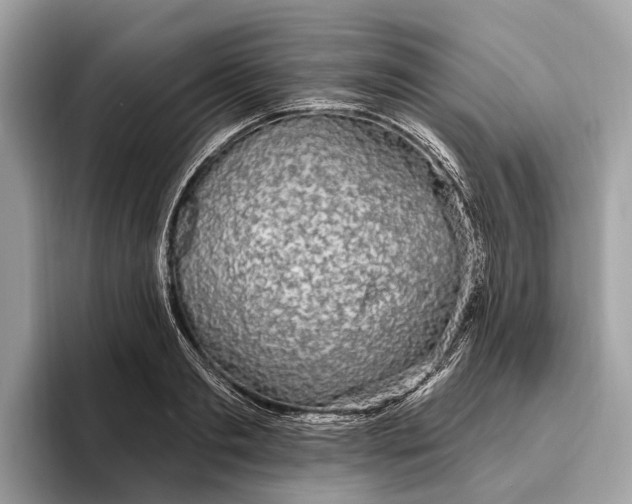X0000096430893200802141429