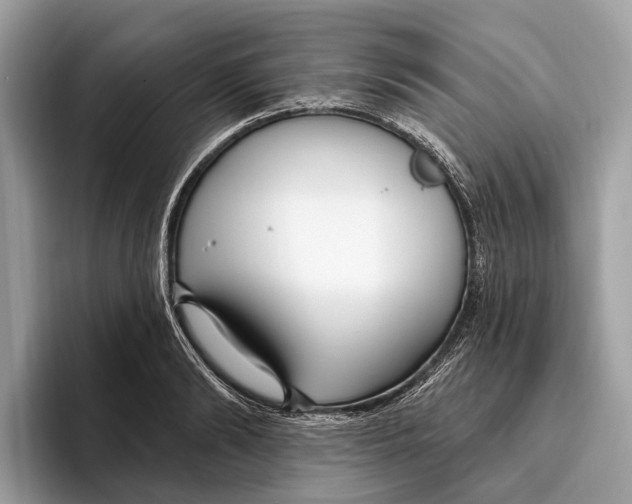 X0000096430894200802141429