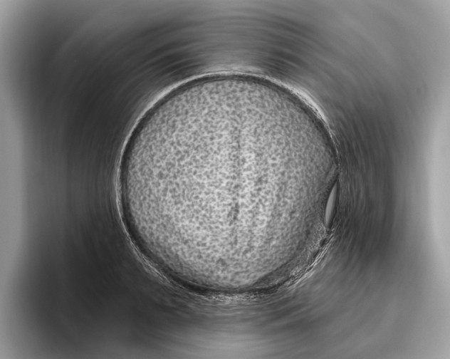 X0000096430895200802141429