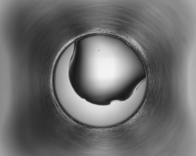 X0000096430896200802141429