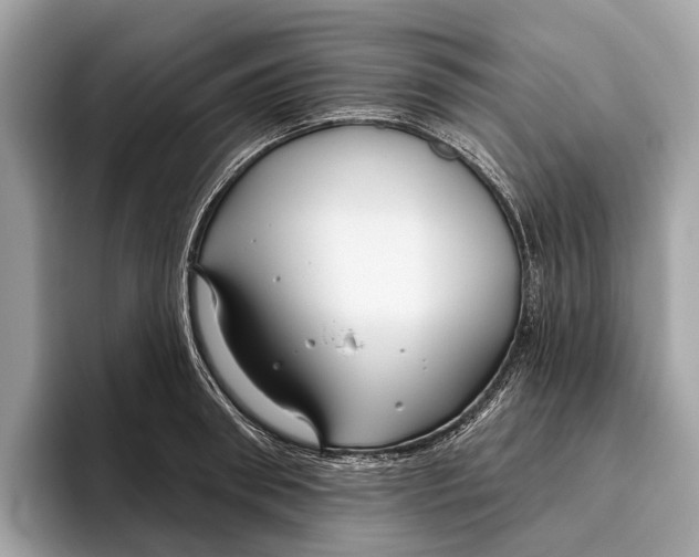 X0000096430898200802141429