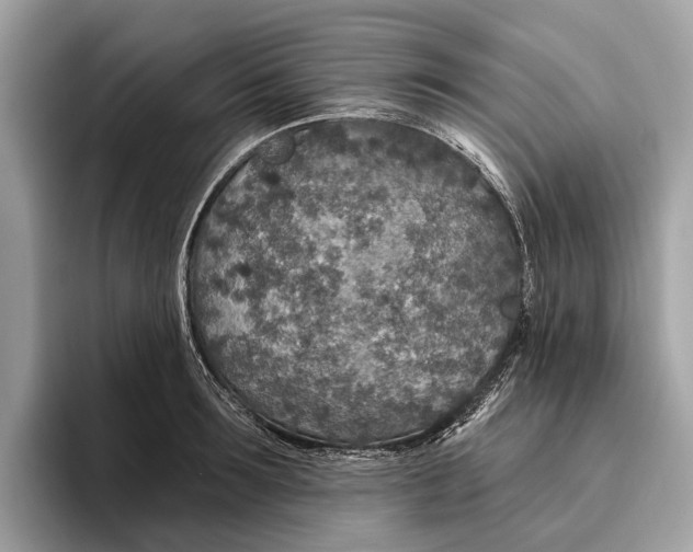 X0000096430899200802141429