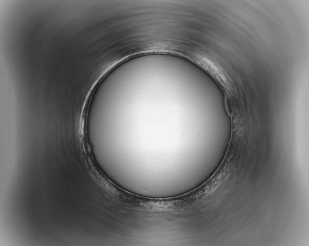 X0000096430900200802141429