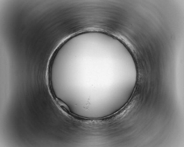 X0000096430902200802141429