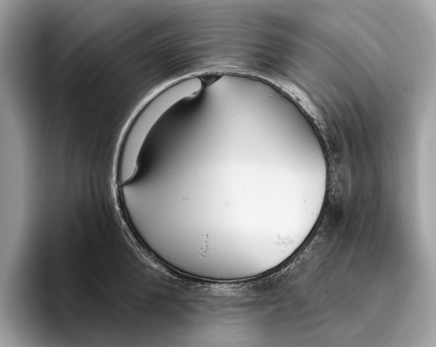 X0000096430904200802141429