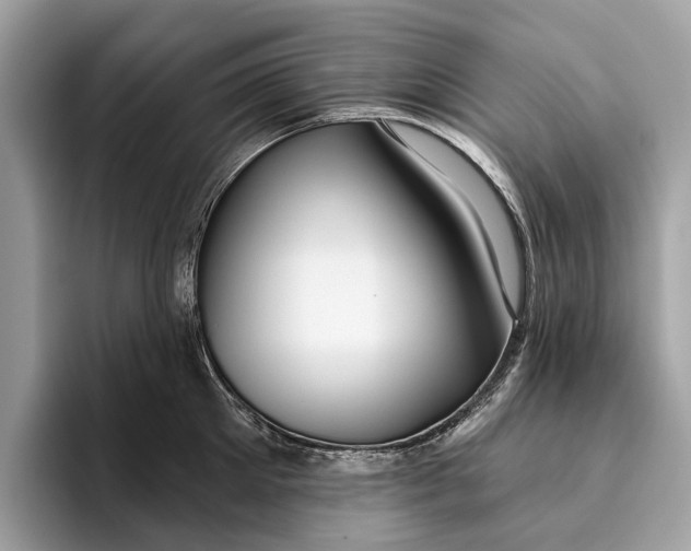 X0000096430905200802141429
