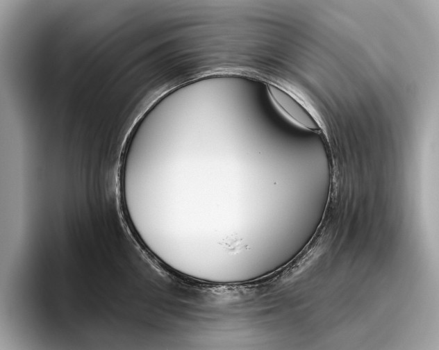 X0000096430906200802141429