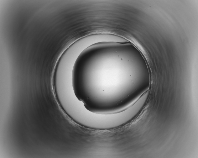 X0000096430909200802141429