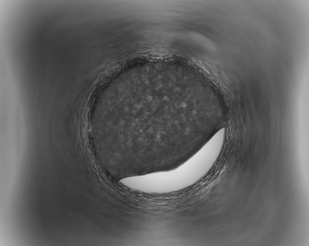 X0000096430913200802141428