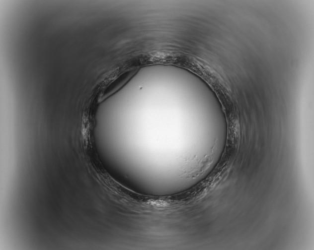 X0000096430914200802141429