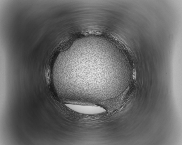 X0000096430915200802141429
