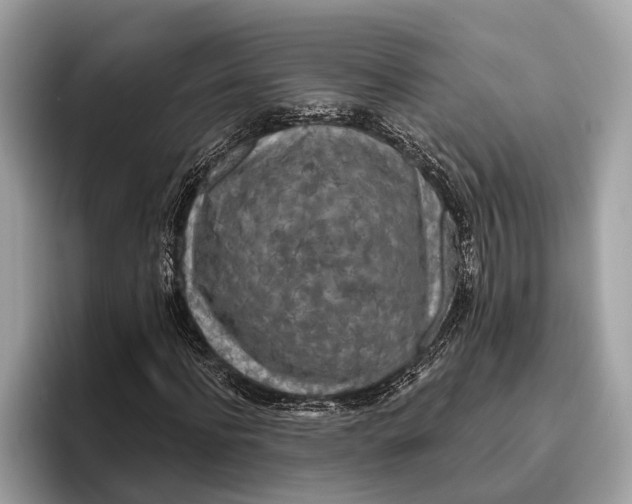 X0000096430916200802141429