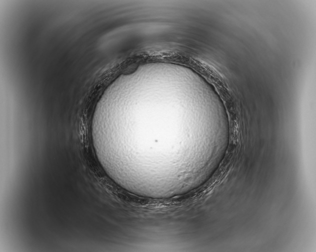X0000096430917200802141429
