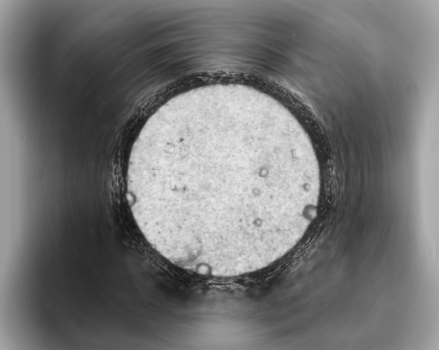 X0000096430918200802141429