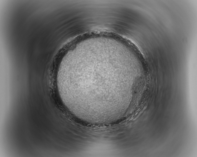 X0000096430919200802141429