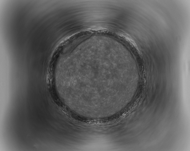 X0000096430920200802141429
