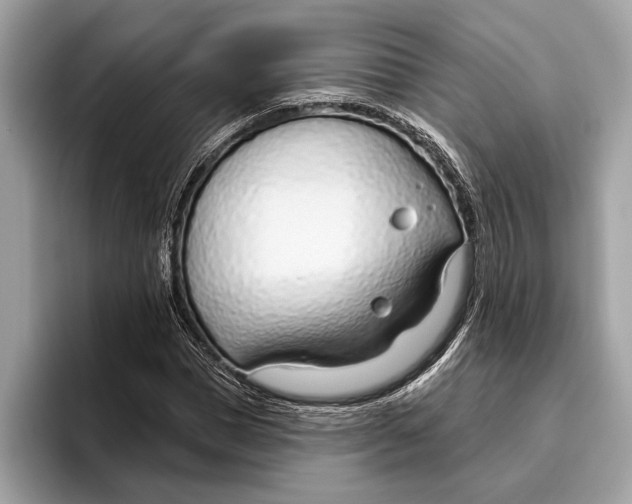 X0000096430921200802141429