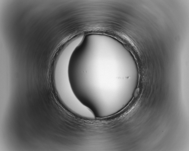 X0000096430922200802141429