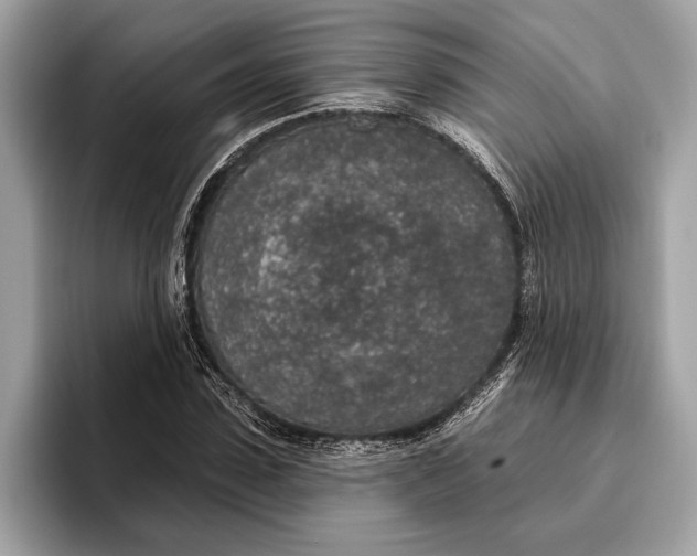 X0000096430923200802141429