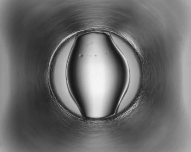 X0000096430924200802141429
