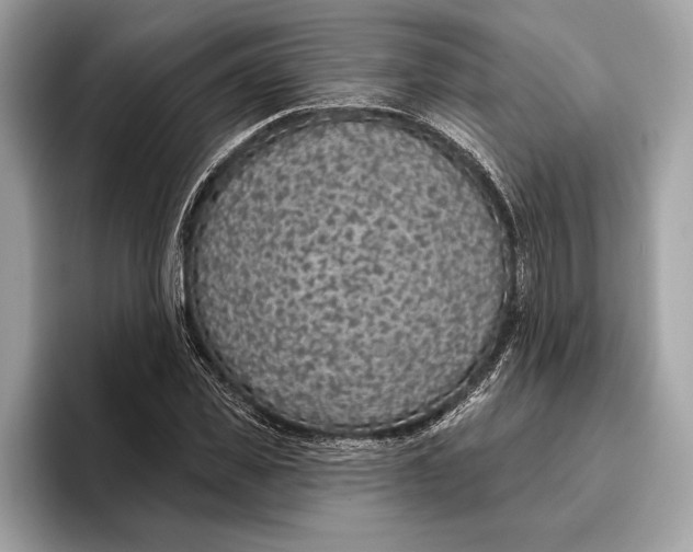X0000096430925200802141429