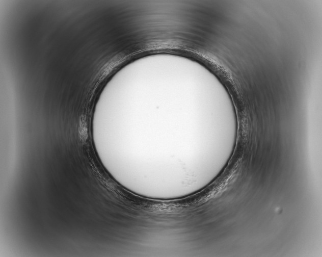 X0000096430929200802141429