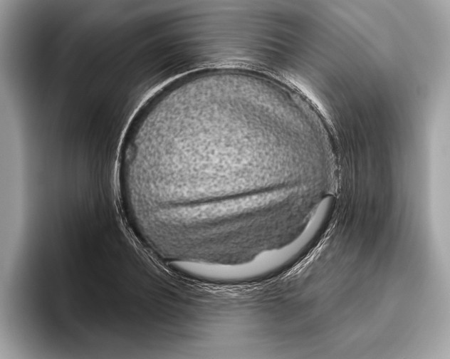 X0000096430932200802141429