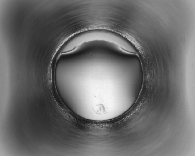 X0000096430934200802141429