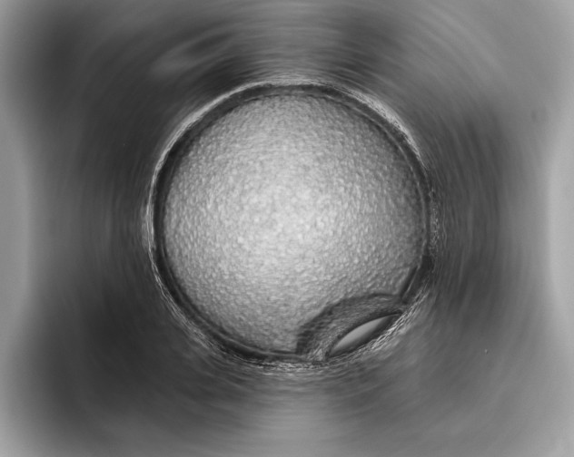 X0000096430935200802141429
