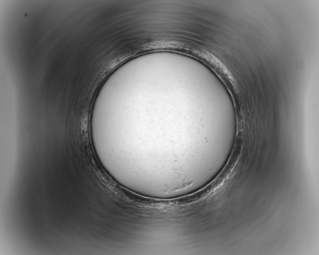X0000096430937200802141429