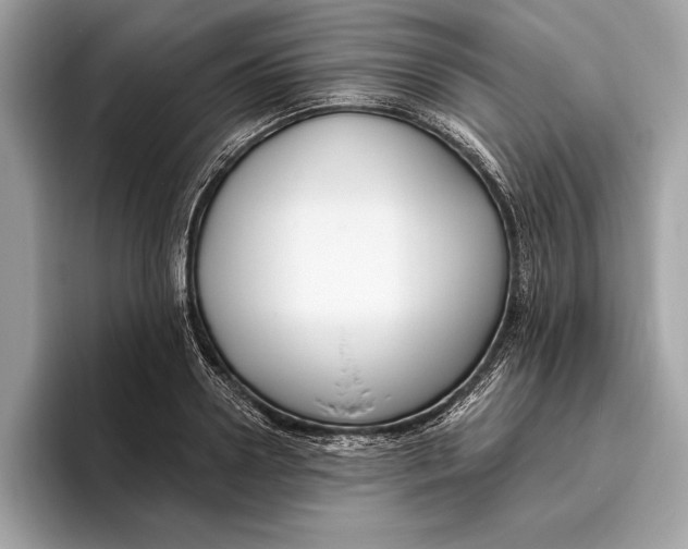 X0000096430938200802141429