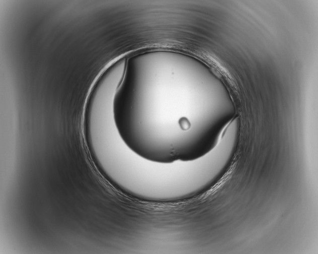X0000096430940200802141429