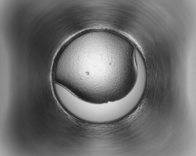 X0000096430943200802141429
