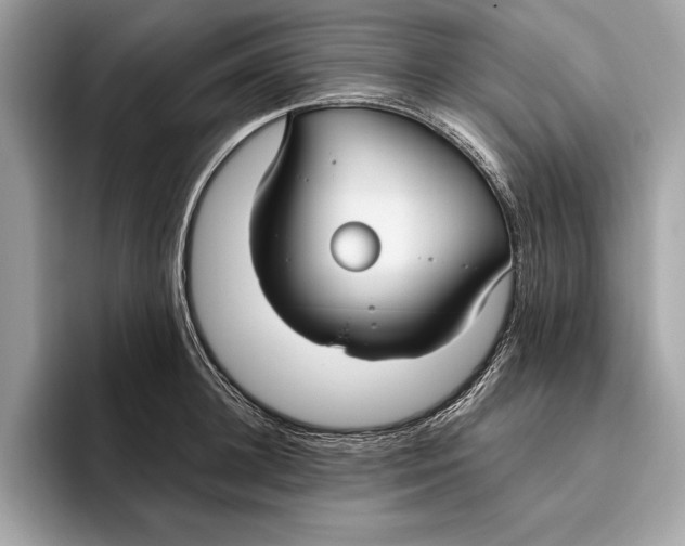X0000096430948200802141429