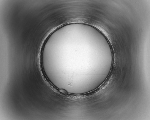 X0000096430949200802141429