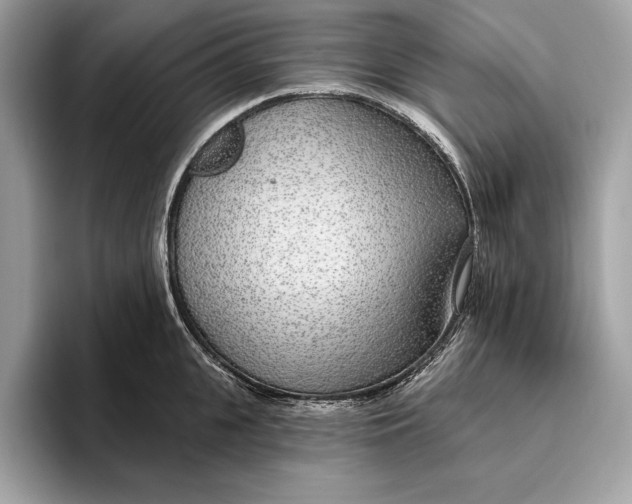 X0000096430951200802141429