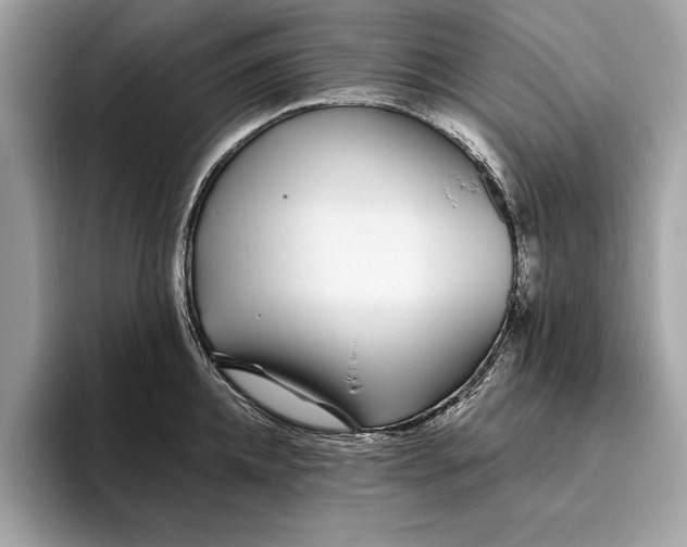 X0000096430952200802141429