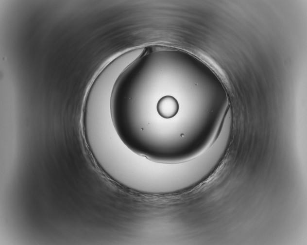 X0000096430956200802141429