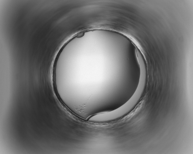X0000096430957200802141429