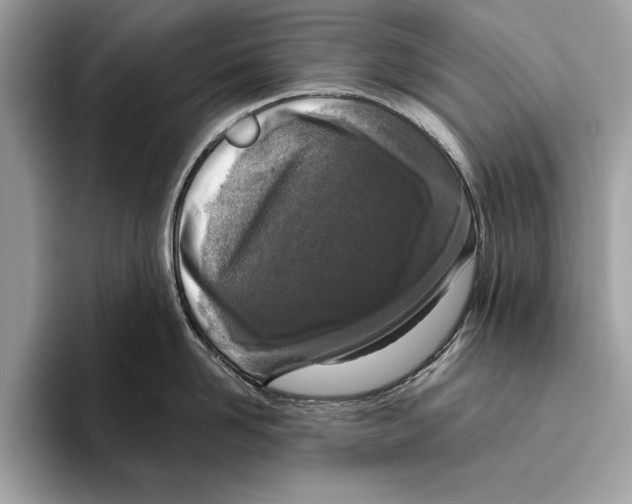 X0000096430958200802141429