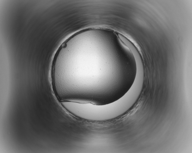 X0000096430959200802141429