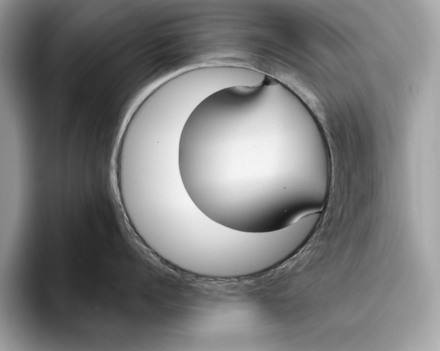 X0000096430960200802141429